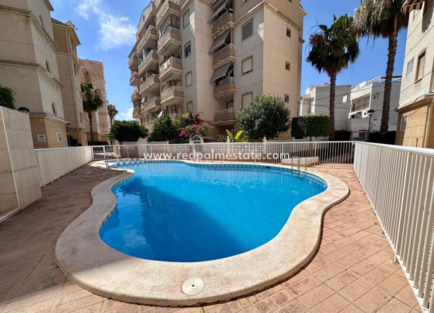 Videresalg - Leilighet -
Torrevieja - Centro Torrevieja