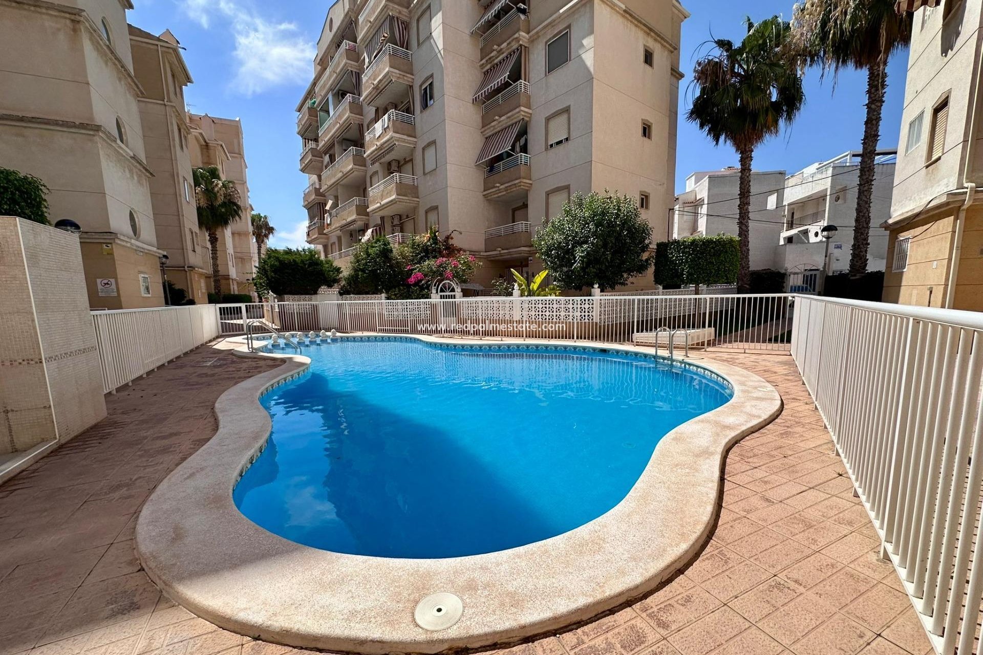 Videresalg - Leilighet -
Torrevieja - Centro Torrevieja
