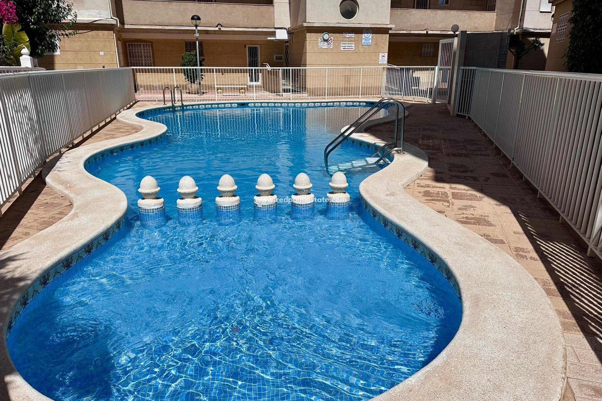 Videresalg - Leilighet -
Torrevieja - Centro Torrevieja