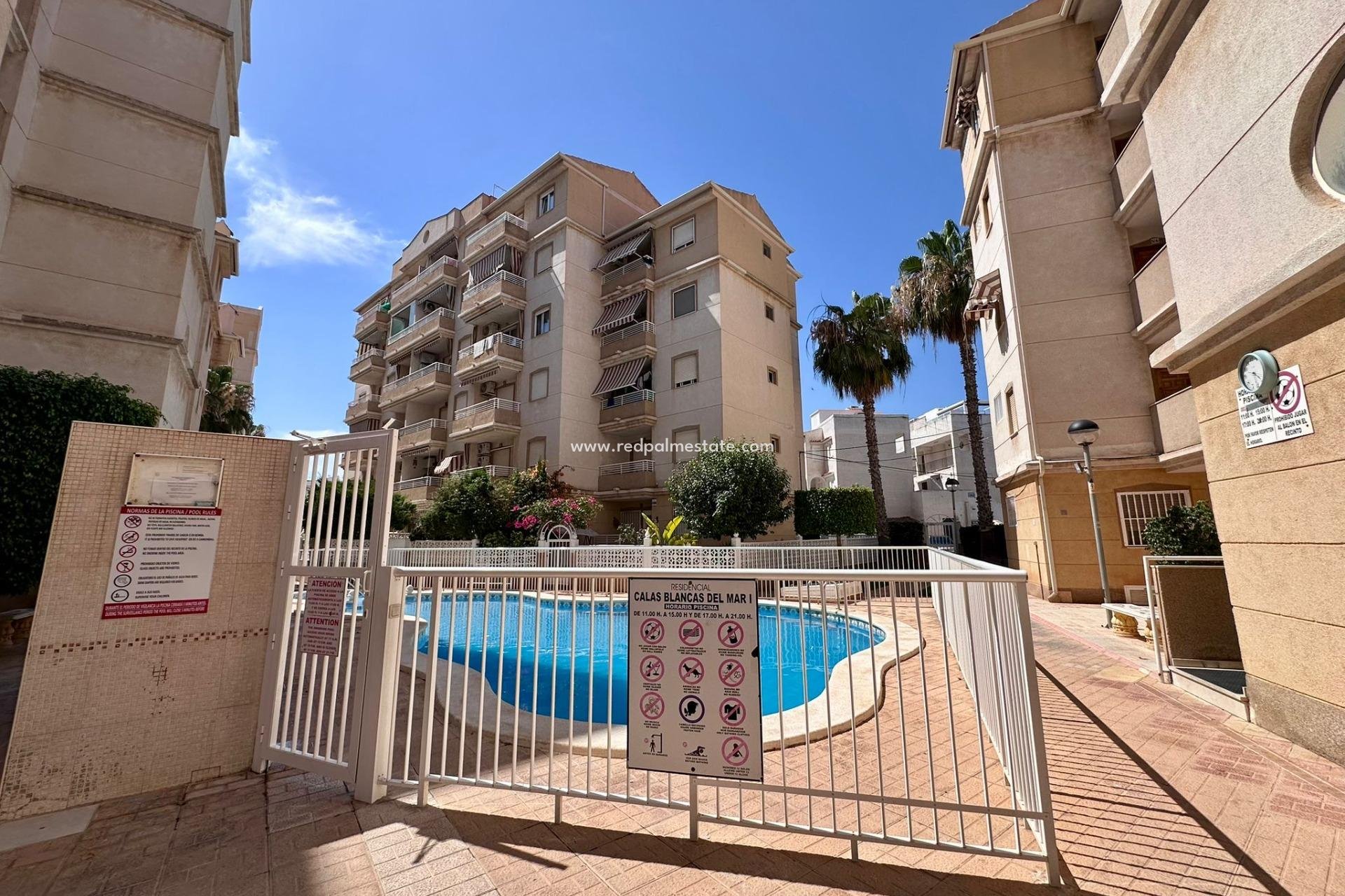 Videresalg - Leilighet -
Torrevieja - Centro Torrevieja