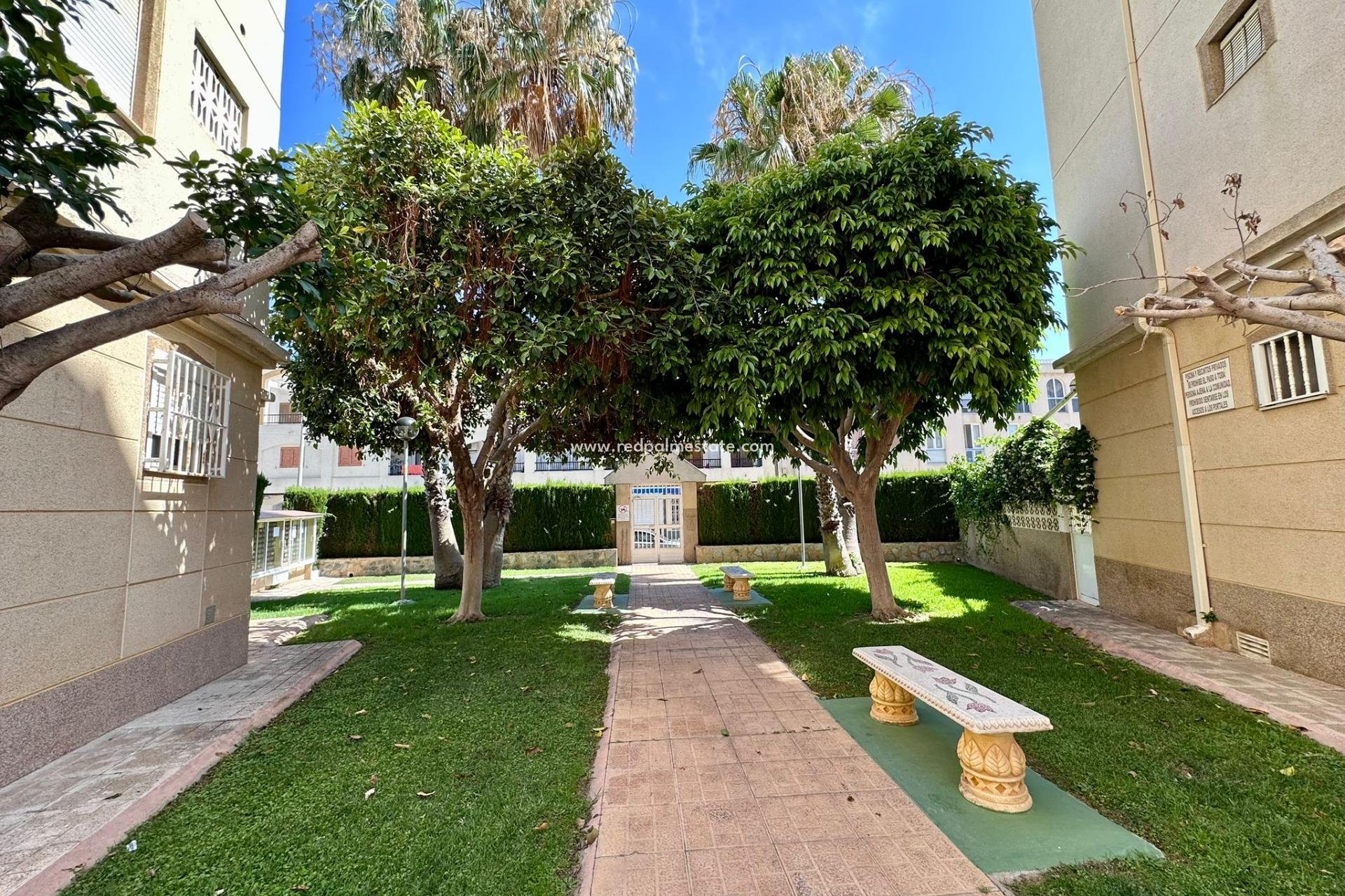 Videresalg - Leilighet -
Torrevieja - Centro Torrevieja