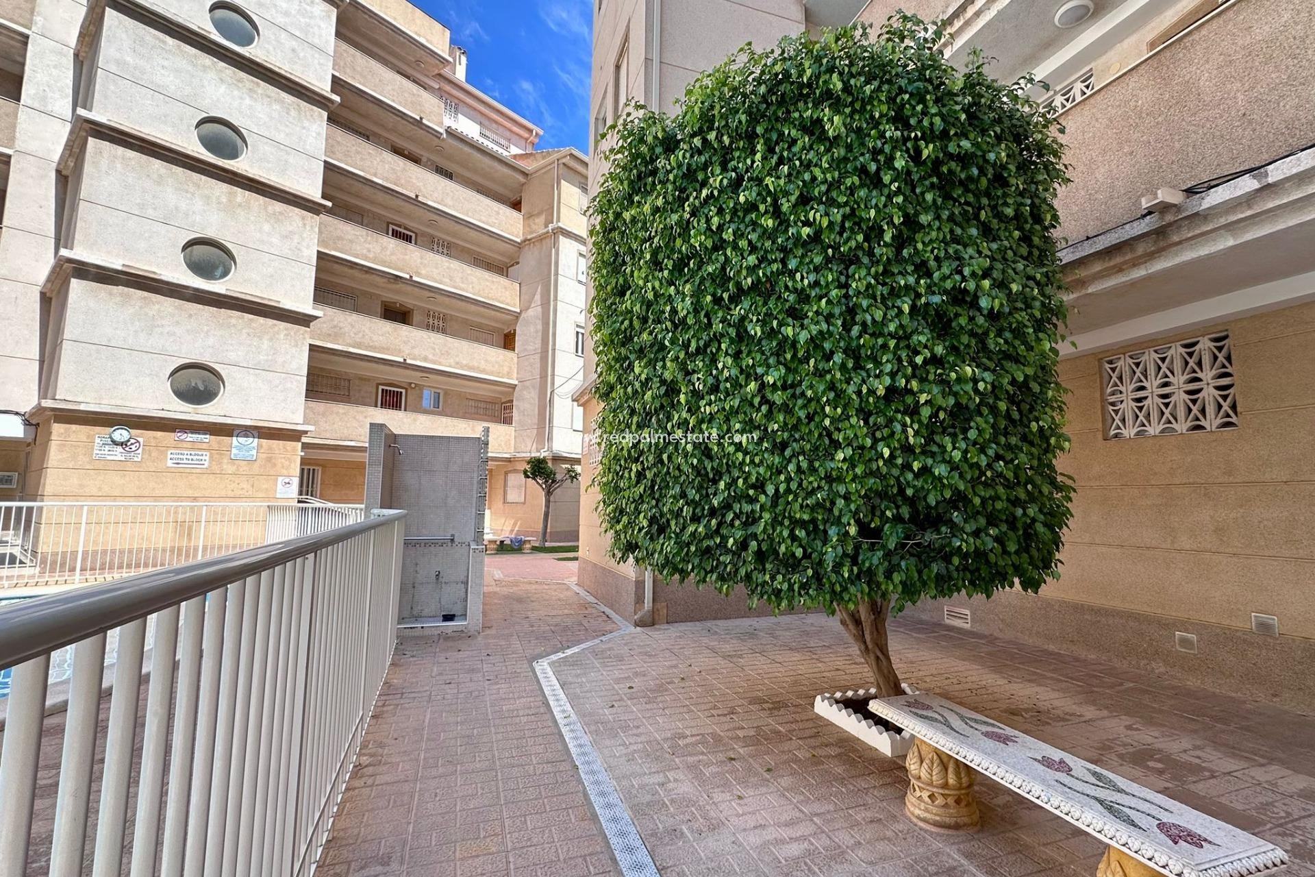 Videresalg - Leilighet -
Torrevieja - Centro Torrevieja