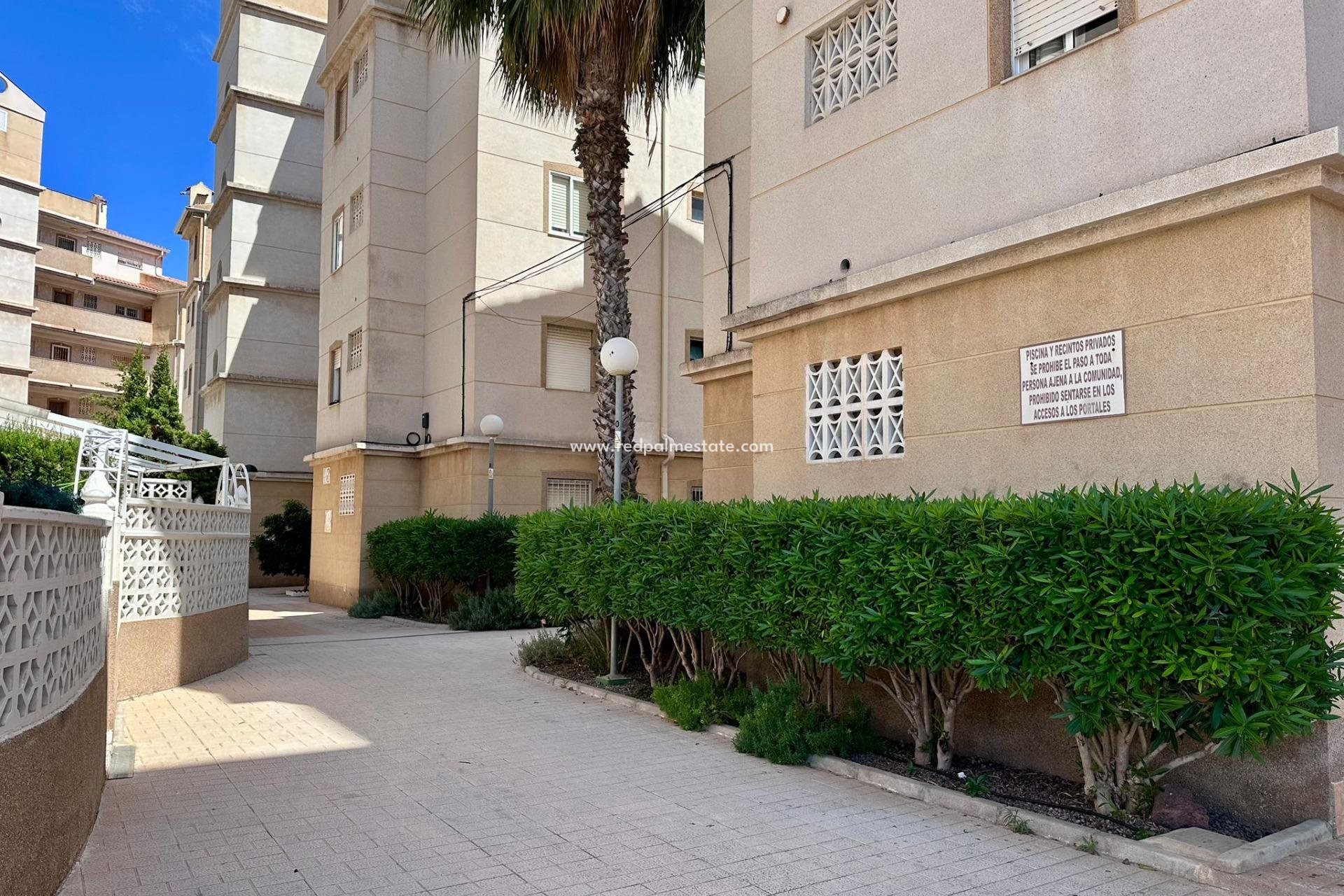 Videresalg - Leilighet -
Torrevieja - Centro Torrevieja