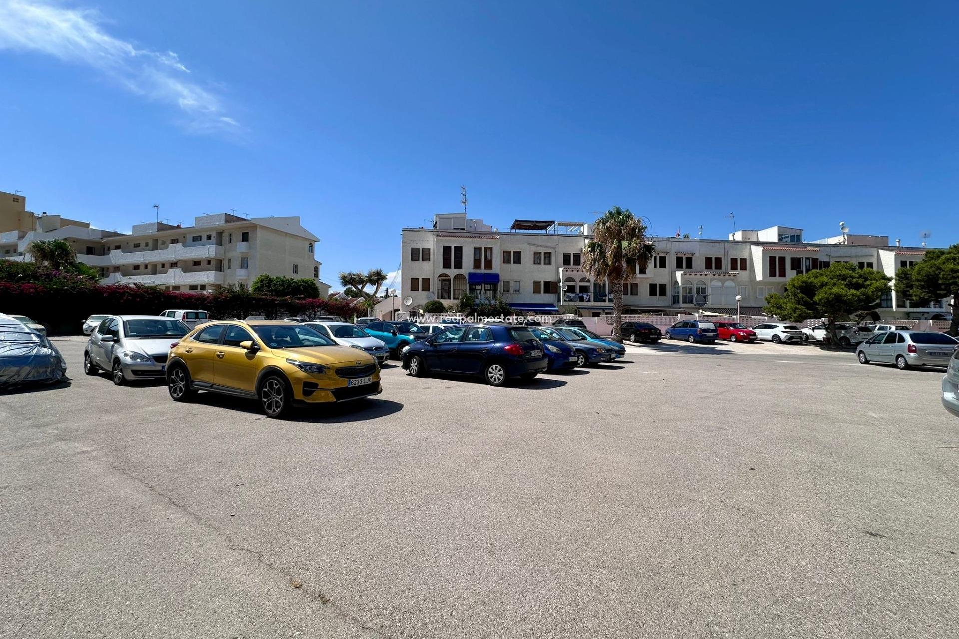 Videresalg - Leilighet -
Torrevieja - Centro Torrevieja