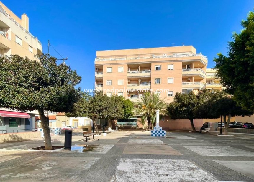 Videresalg - Leilighet -
Torrevieja - Centro Torrevieja