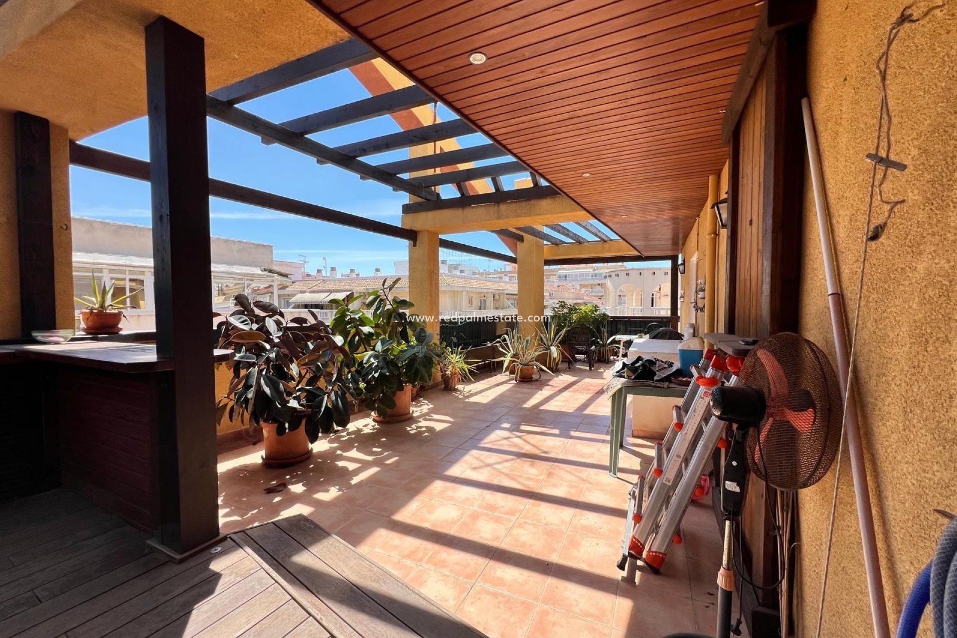 Videresalg - Leilighet -
Torrevieja - Centro Torrevieja