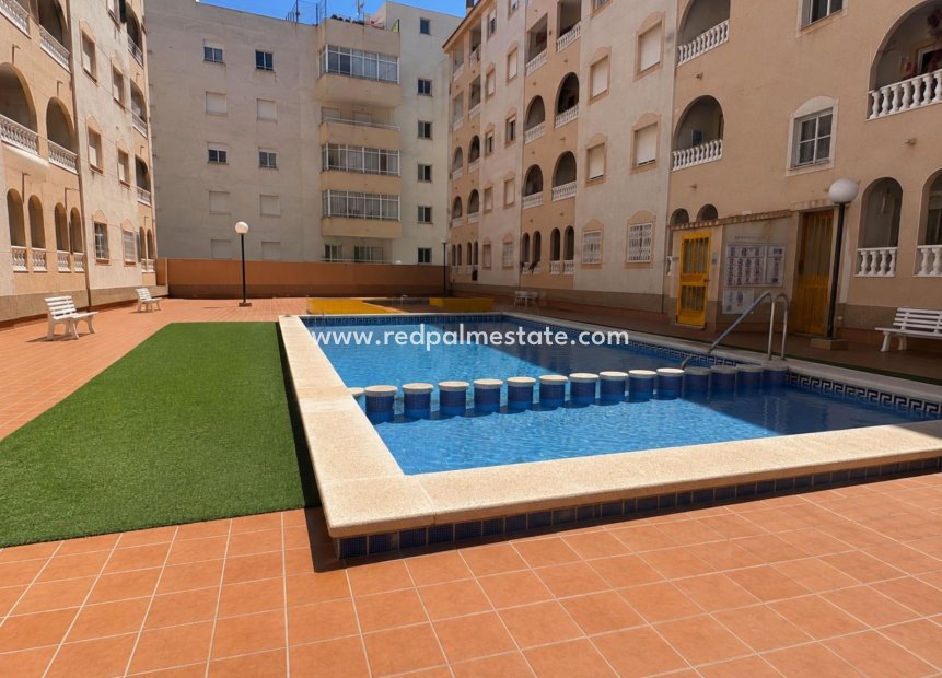 Videresalg - Leilighet -
Torrevieja - Centro Torrevieja