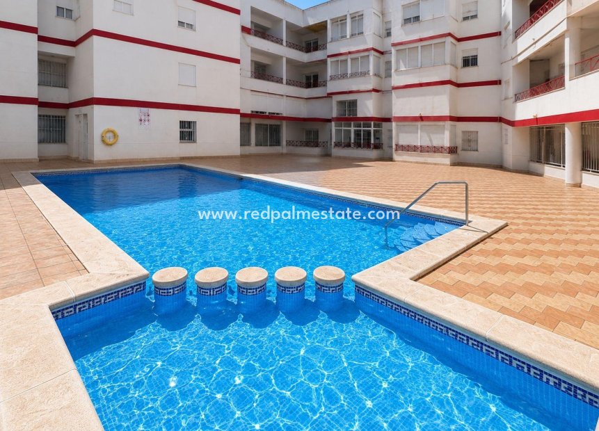 Videresalg - Leilighet -
Torrevieja - Centro Torrevieja