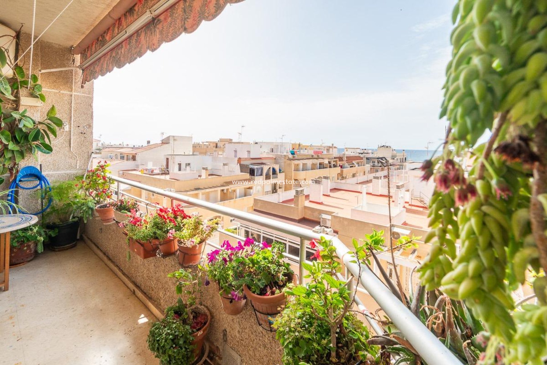 Videresalg - Leilighet -
Torrevieja - Centro Torrevieja