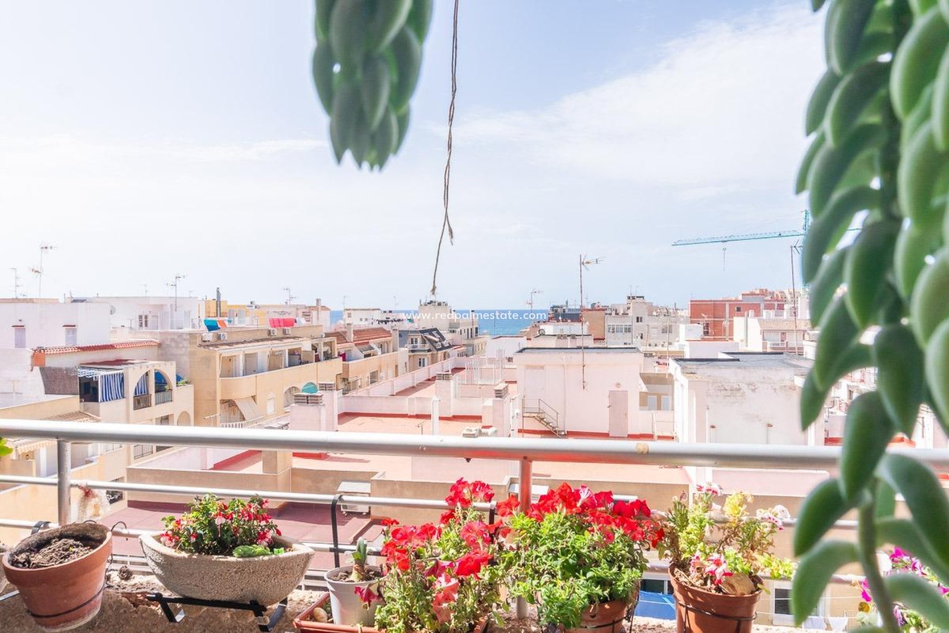 Videresalg - Leilighet -
Torrevieja - Centro Torrevieja