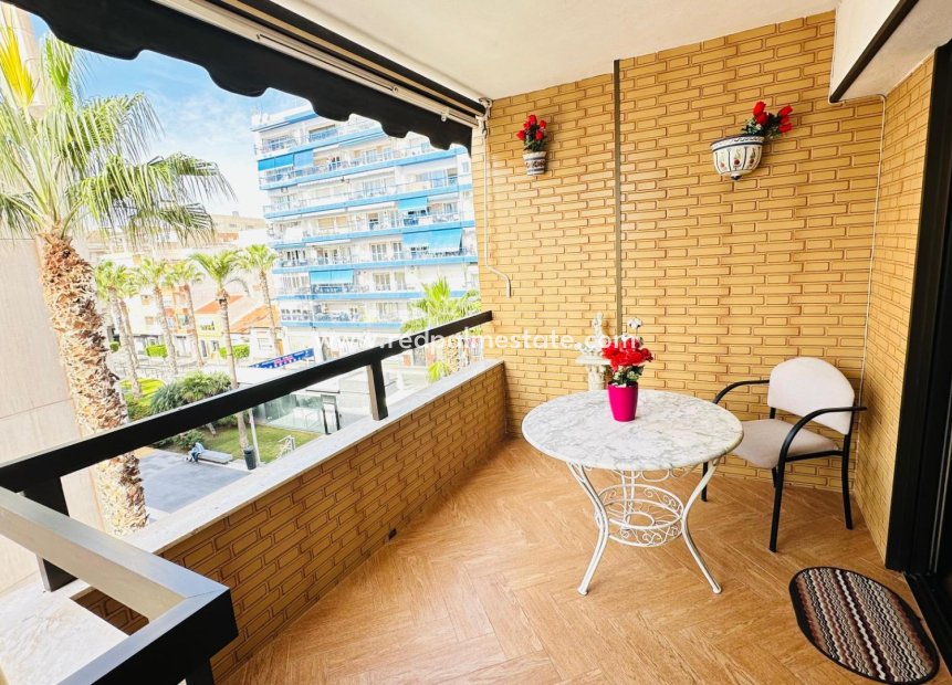 Videresalg - Leilighet -
Torrevieja - Centro Torrevieja