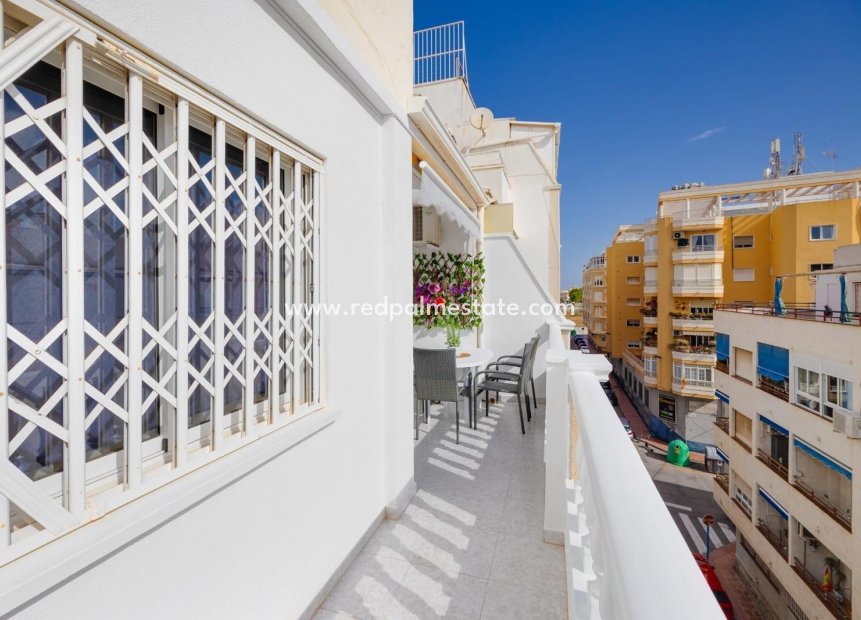 Videresalg - Leilighet -
Torrevieja - Centro Torrevieja