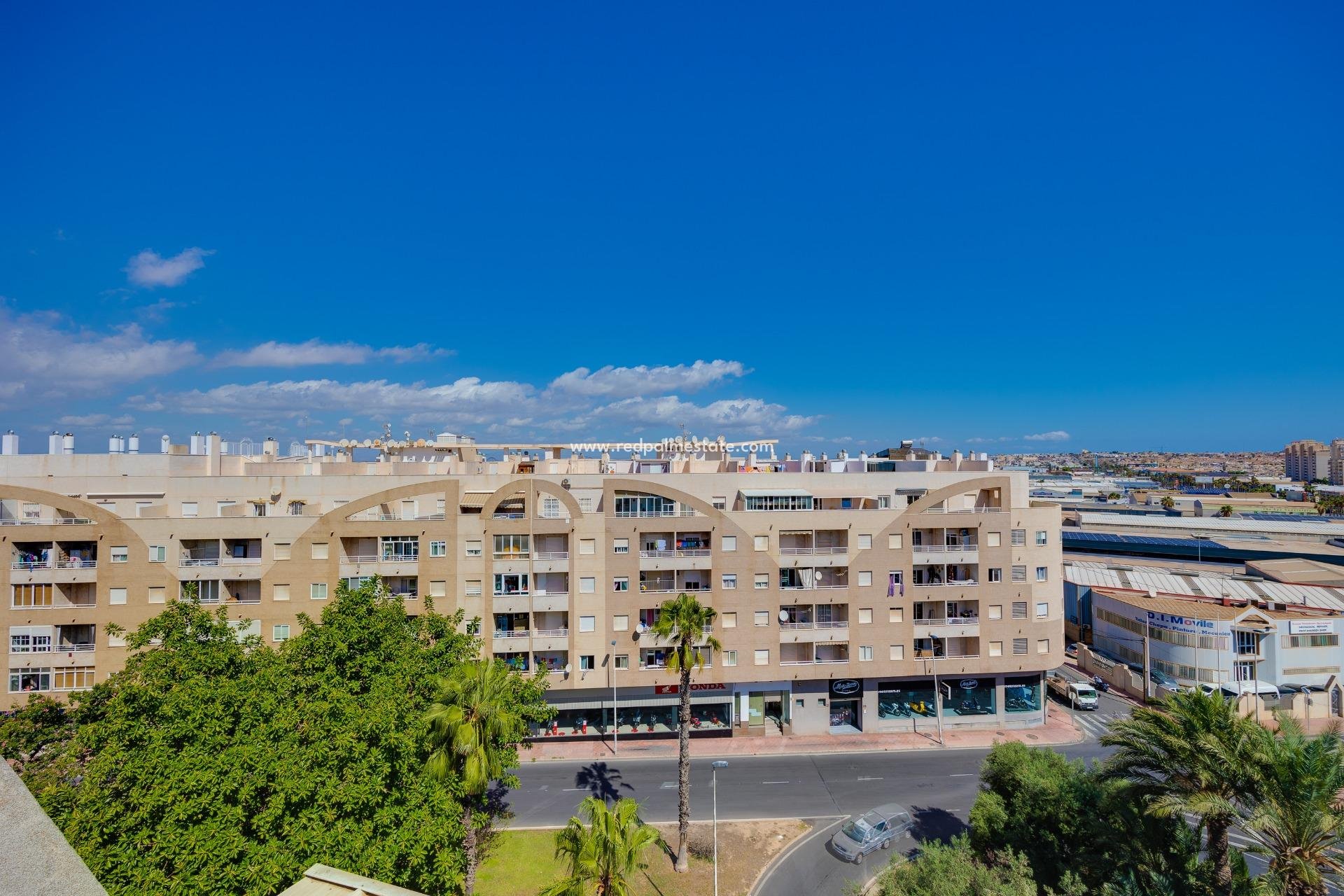 Videresalg - Leilighet -
Torrevieja - Centro Torrevieja