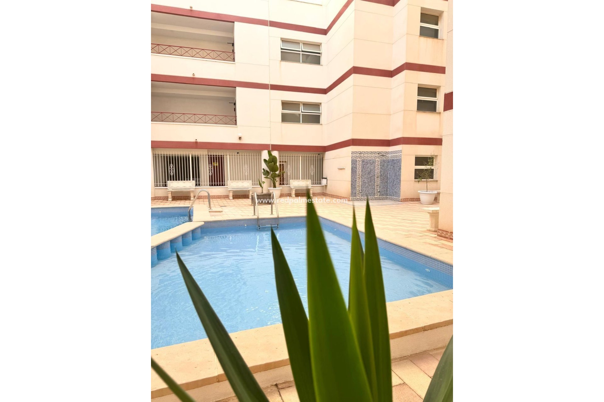 Videresalg - Leilighet -
Torrevieja - Centro Torrevieja