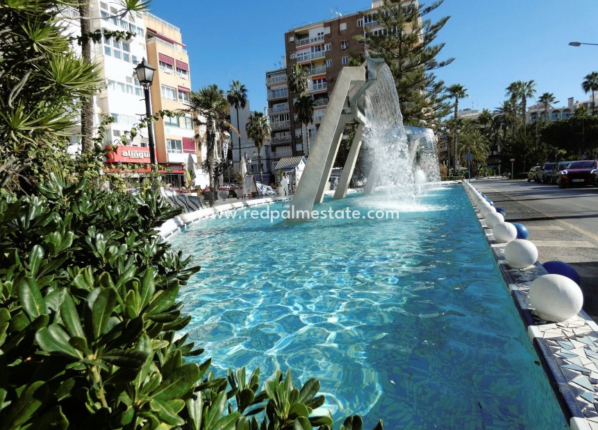Videresalg - Leilighet -
Torrevieja - Centro Torrevieja