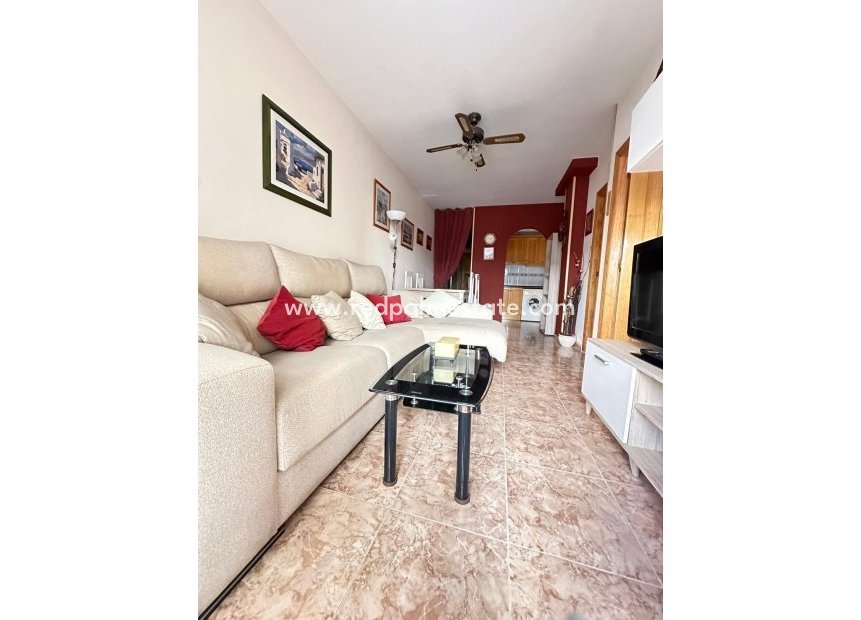 Videresalg - Leilighet -
Torrevieja - Centro Torrevieja