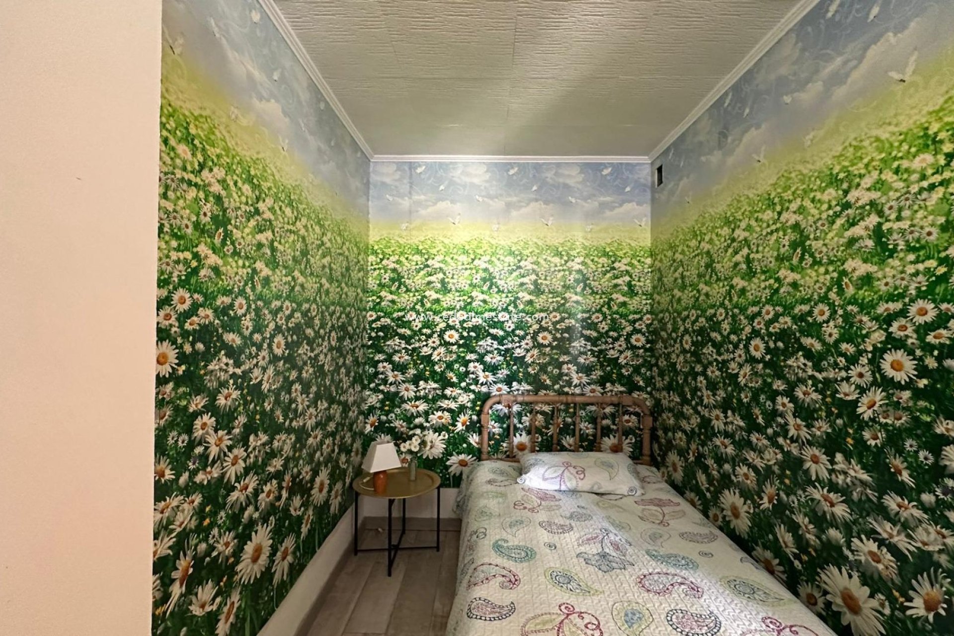 Videresalg - Leilighet -
Torrevieja - Centro Torrevieja