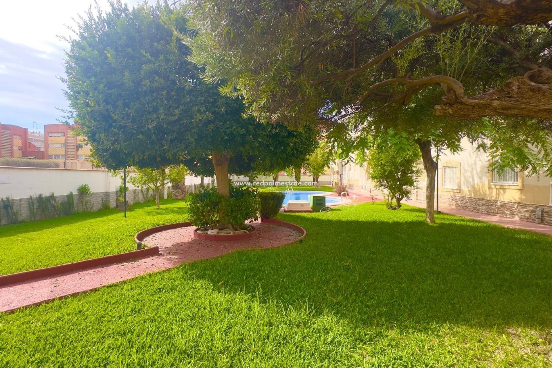 Videresalg - Leilighet -
Torrevieja - Centro Torrevieja