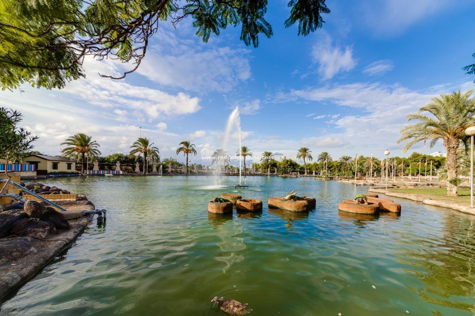 Videresalg - Leilighet -
Torrevieja - Centro Torrevieja