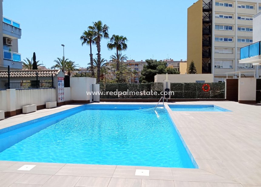 Videresalg - Leilighet -
Torrevieja - Centro Torrevieja
