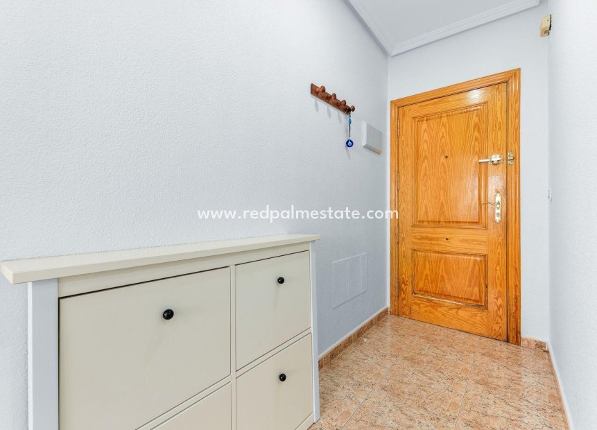Videresalg - Leilighet -
Torrevieja - Centro Torrevieja