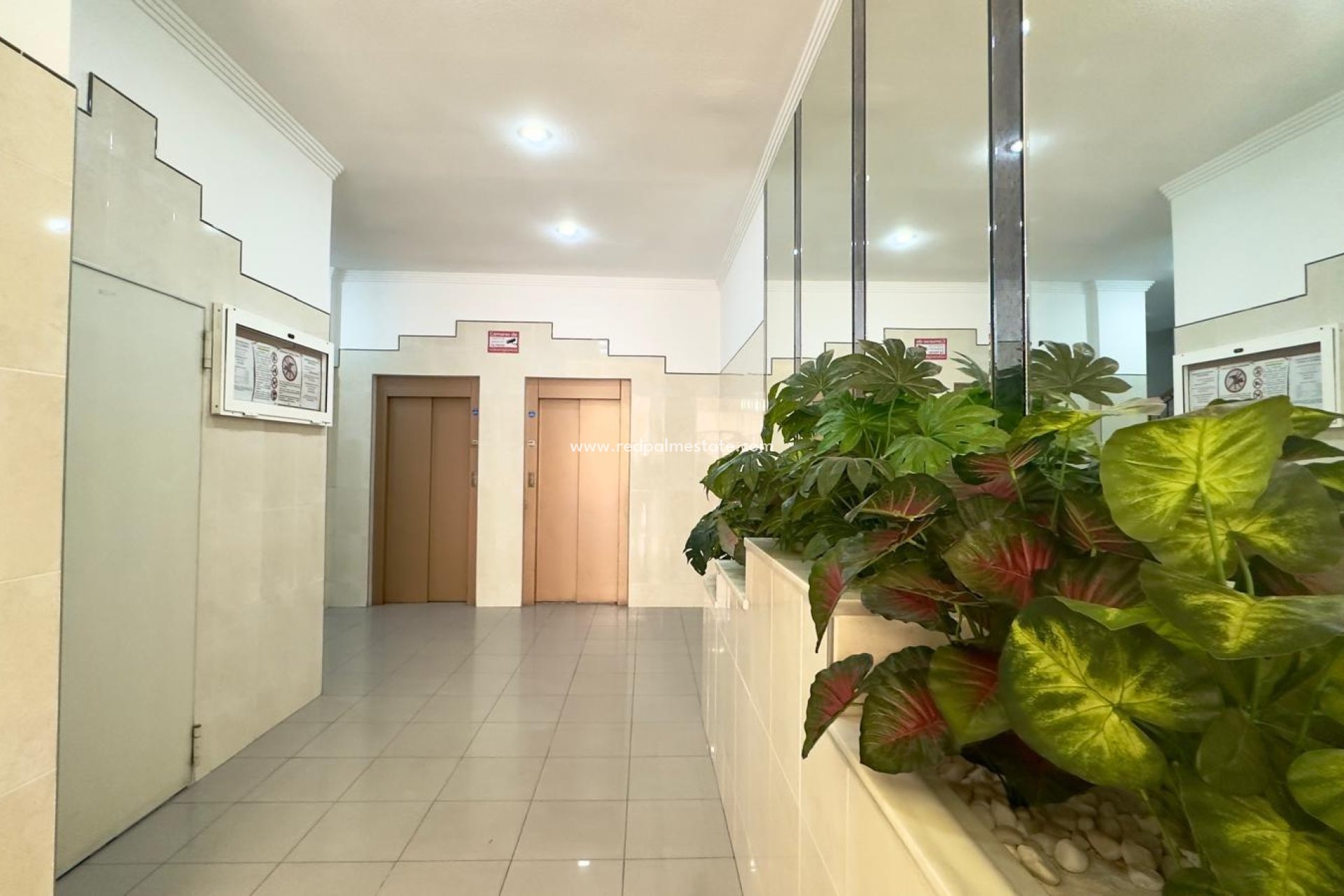 Videresalg - Leilighet -
Torrevieja - Centro Torrevieja