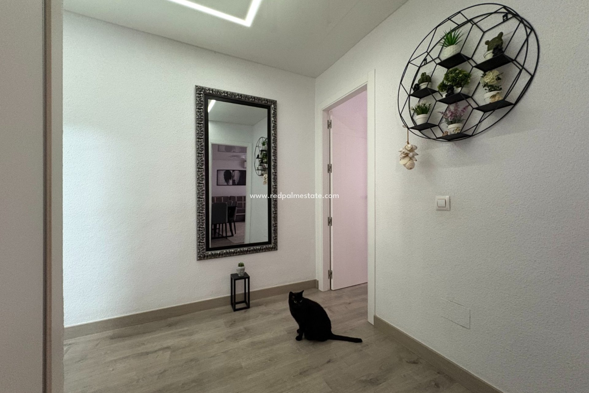 Videresalg - Leilighet -
Torrevieja - Centro Torrevieja