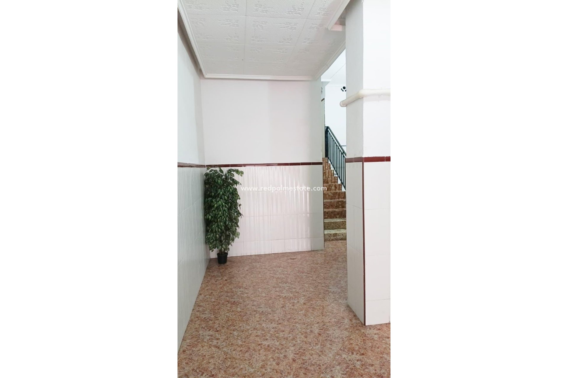 Videresalg - Leilighet -
Torrevieja - Centro Torrevieja
