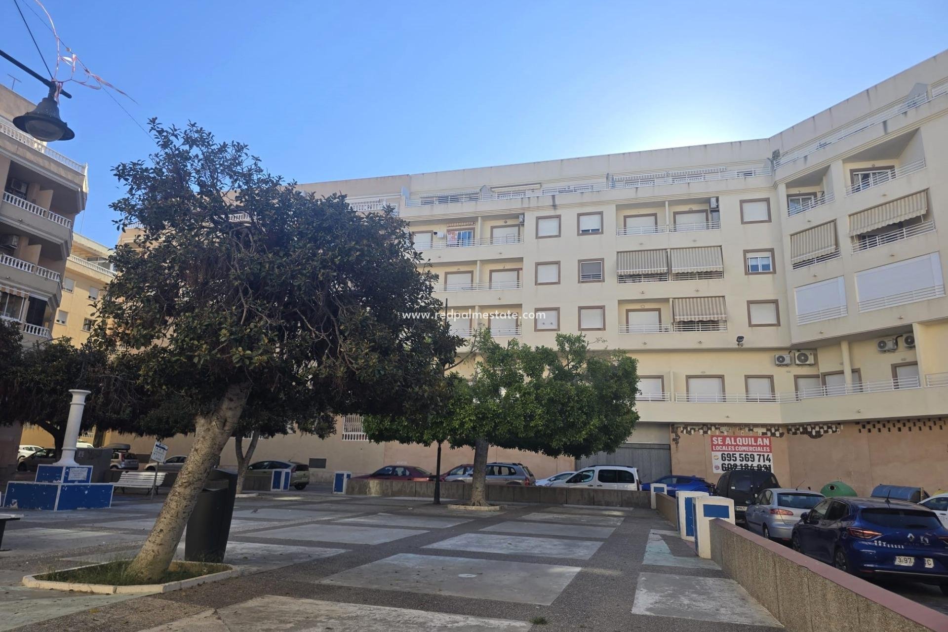Videresalg - Leilighet -
Torrevieja - Centro Torrevieja