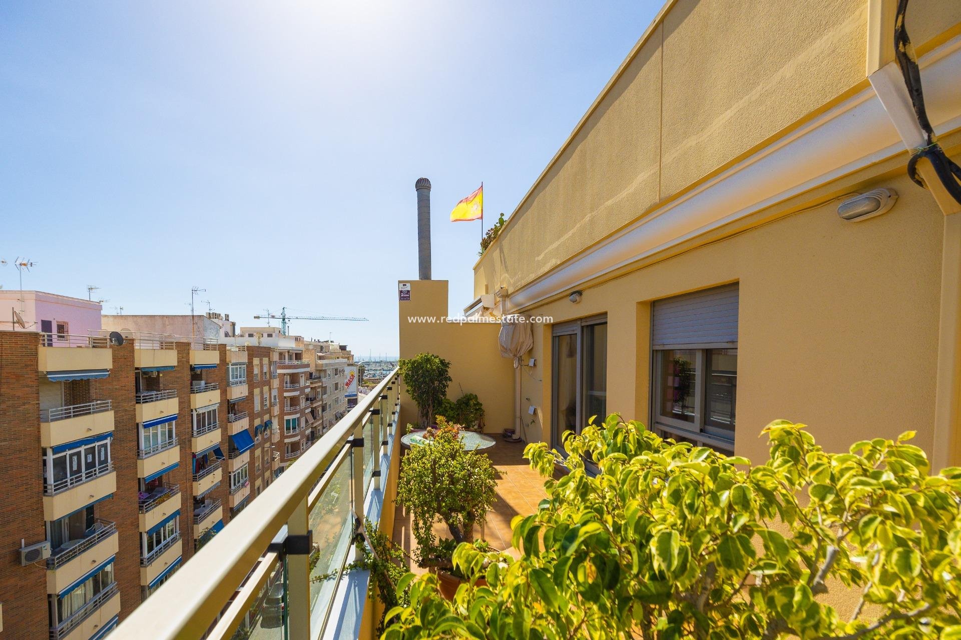 Videresalg - Leilighet -
Torrevieja - Centro Torrevieja
