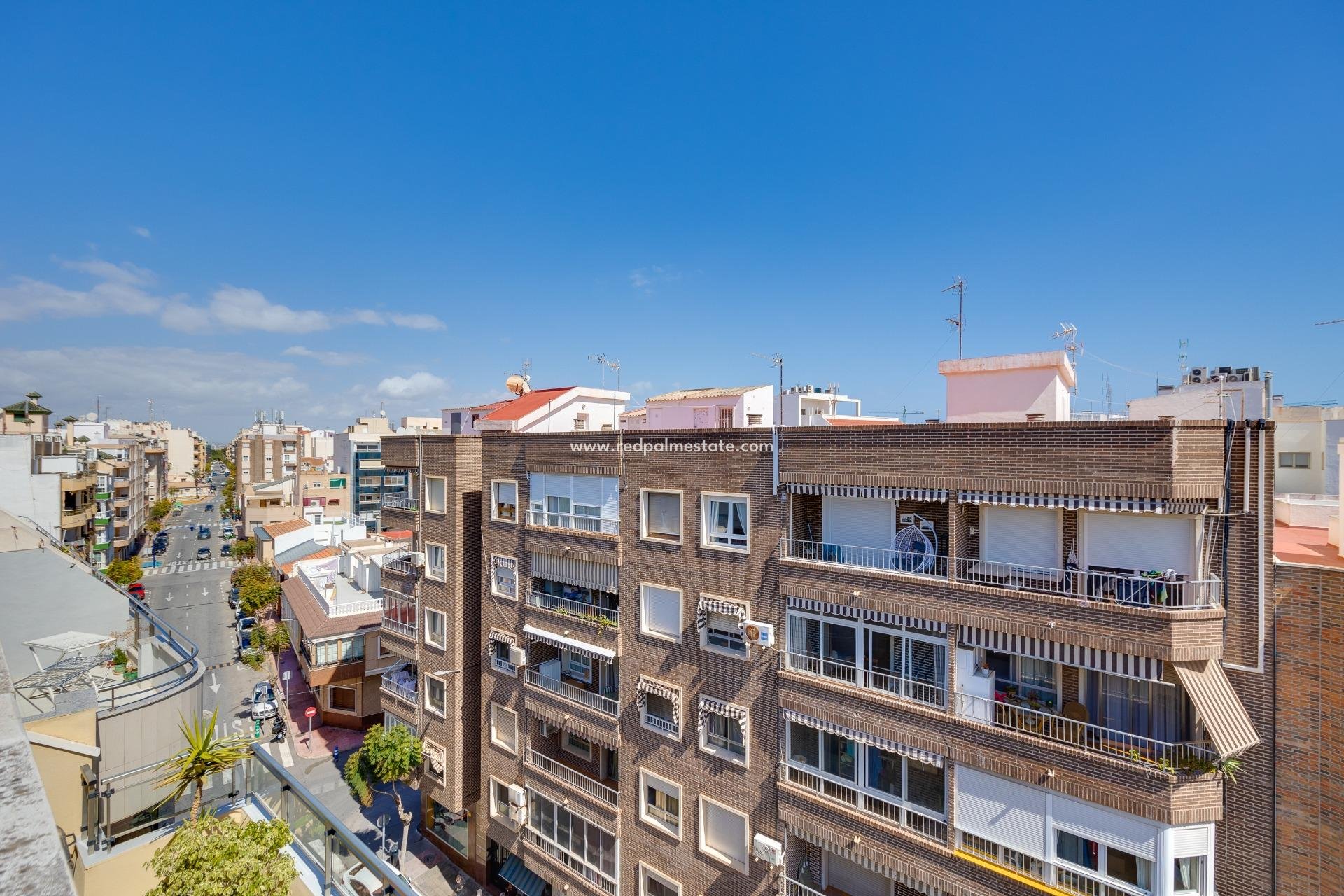 Videresalg - Leilighet -
Torrevieja - Centro Torrevieja