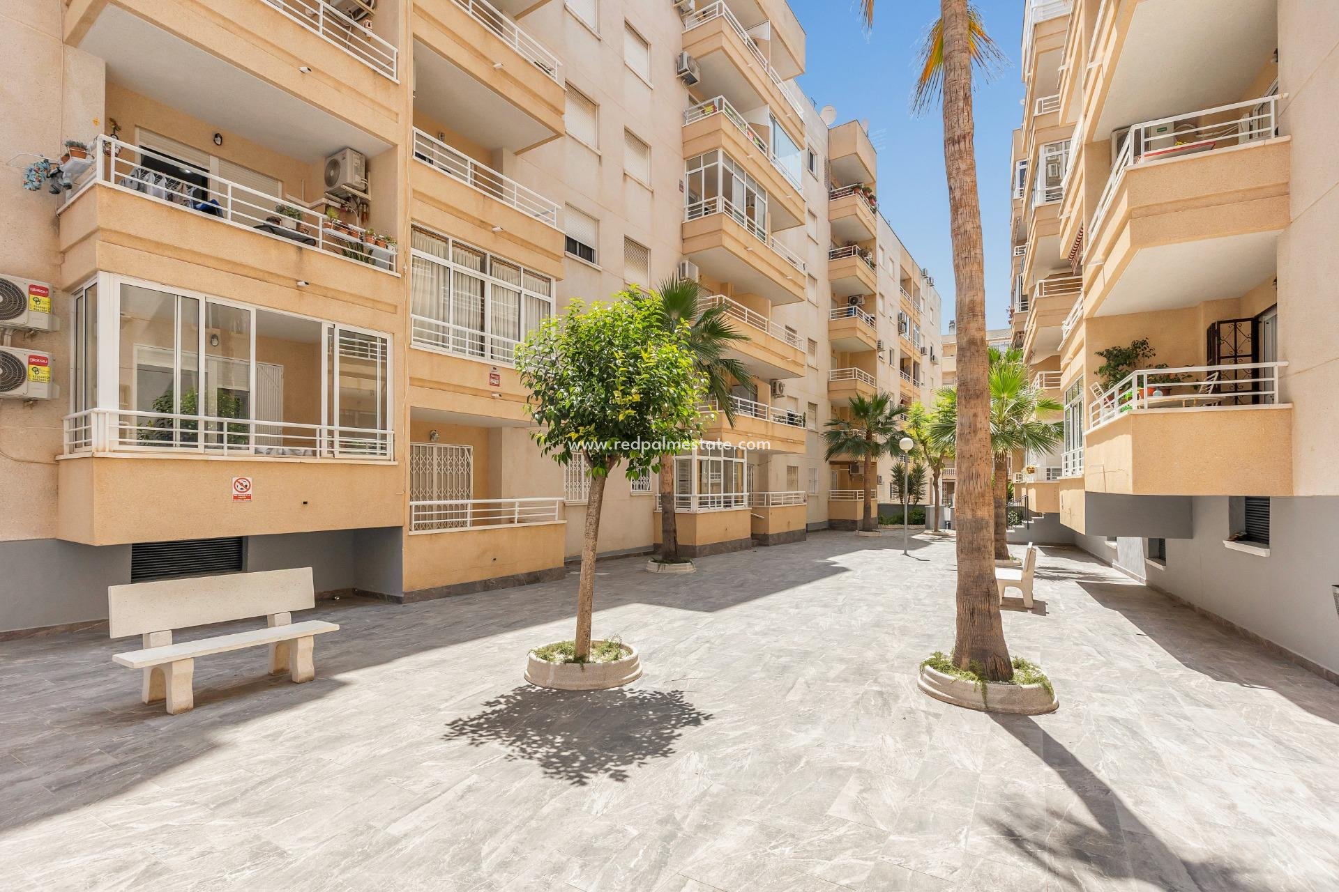 Videresalg - Leilighet -
Torrevieja - Centro Torrevieja