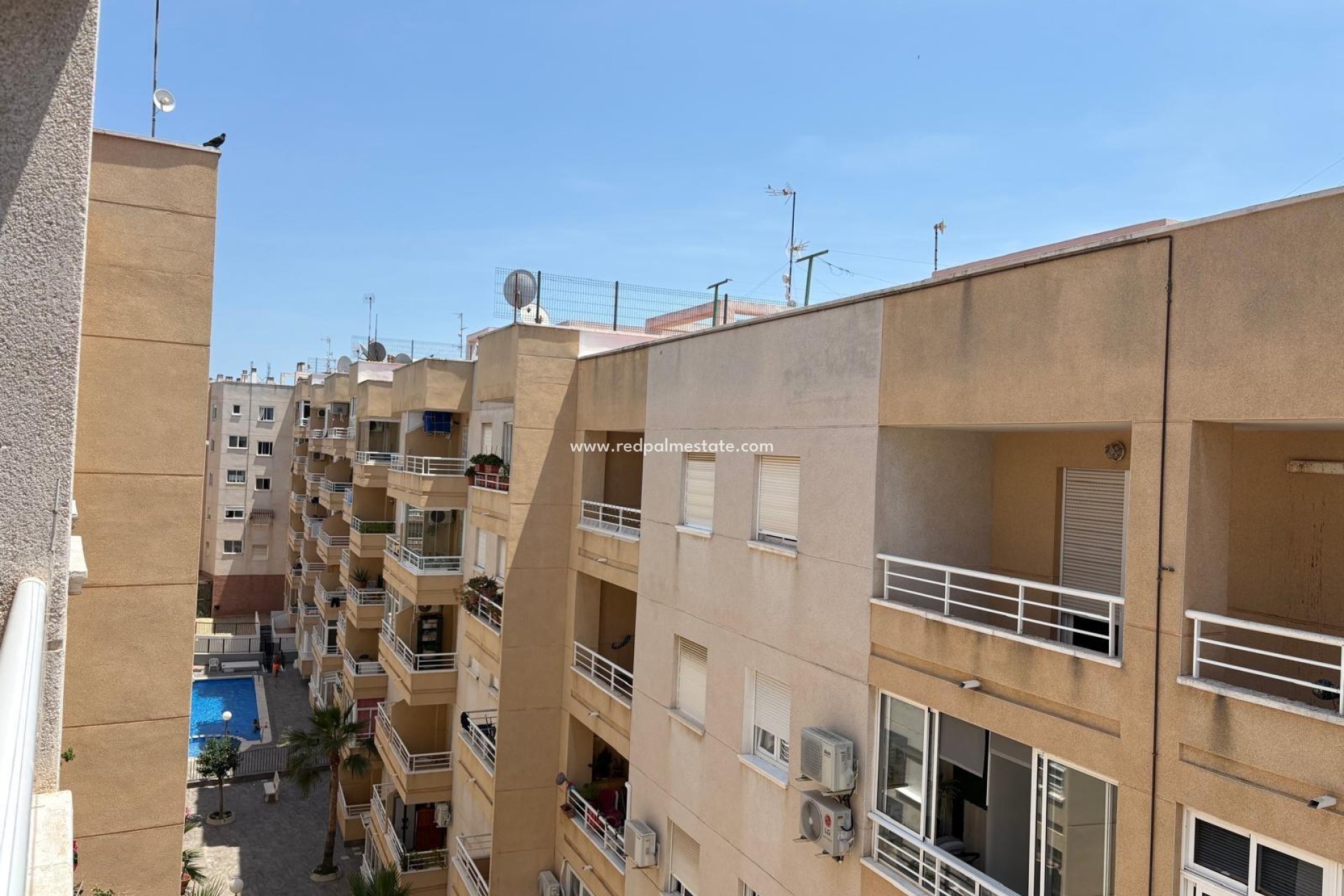 Videresalg - Leilighet -
Torrevieja - Centro Torrevieja