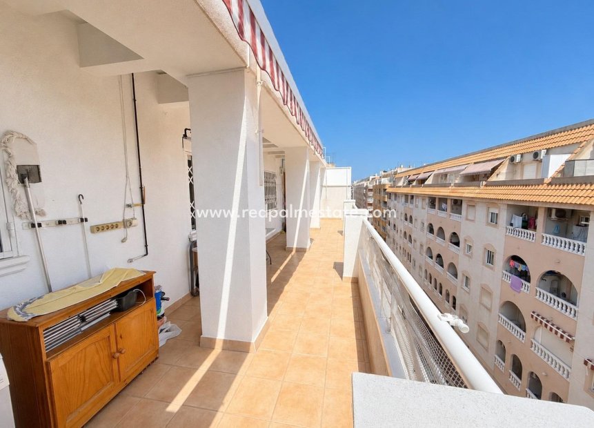 Videresalg - Leilighet -
Torrevieja - Centro Torrevieja