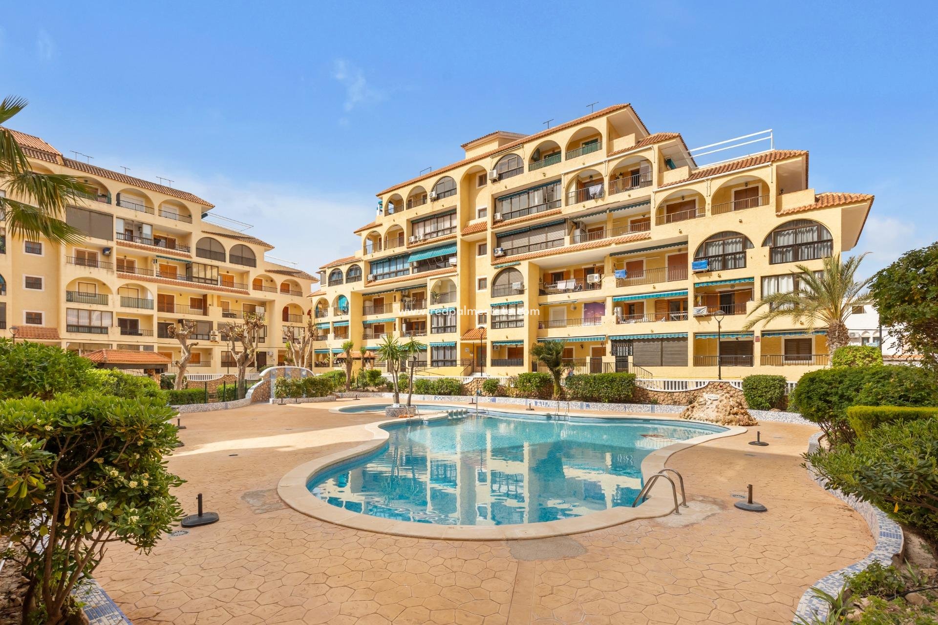 Videresalg - Leilighet -
Torrevieja - La Mata