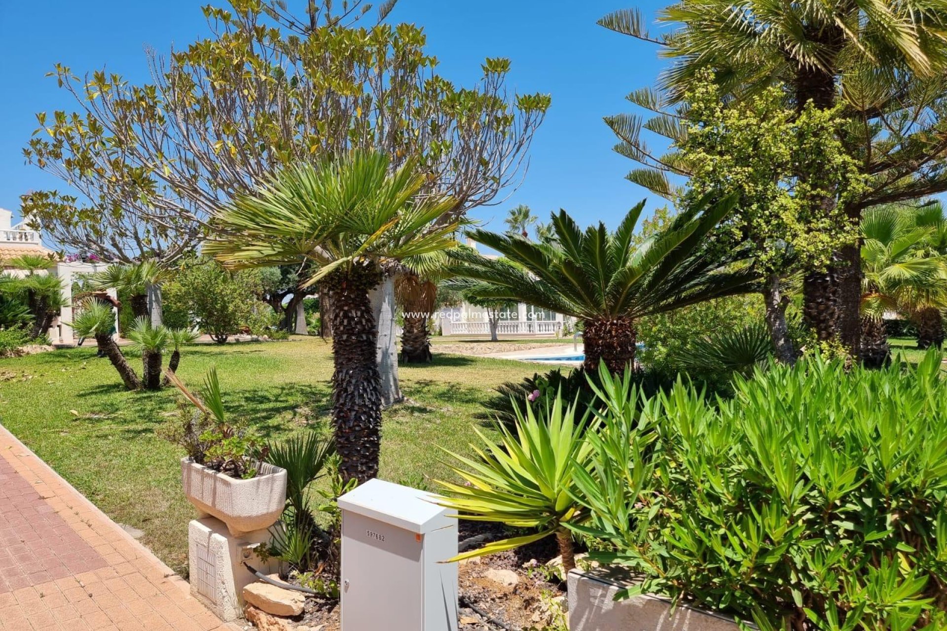 Videresalg - Leilighet -
Torrevieja - Los balcones