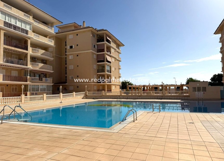 Videresalg - Leilighet -
Torrevieja - Los Europeos