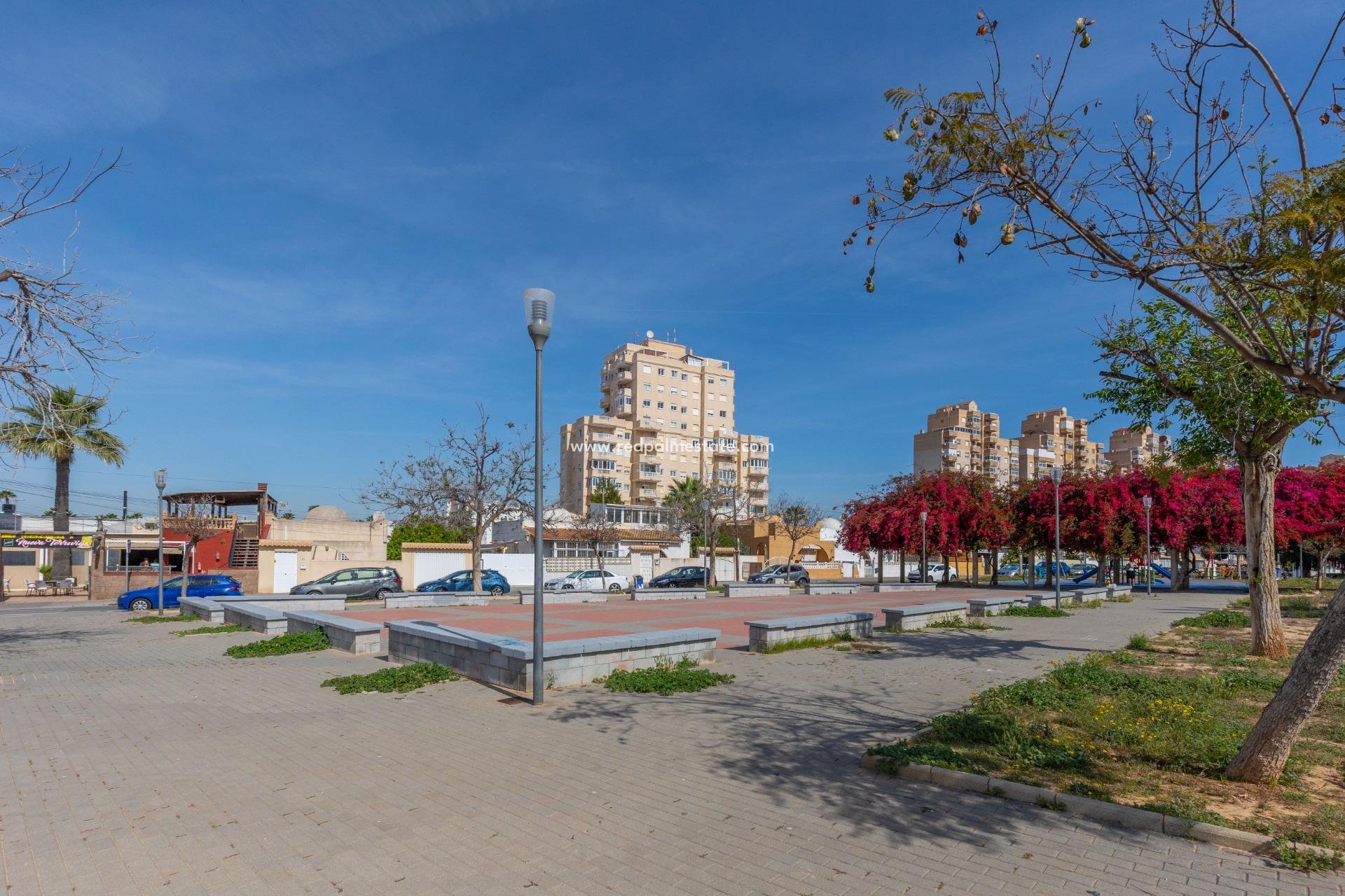 Videresalg - Leilighet -
Torrevieja - Nueva Torrevieja - Aguas Nuevas