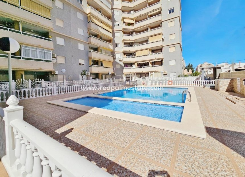 Videresalg - Leilighet -
Torrevieja - Nueva Torrevieja - Aguas Nuevas
