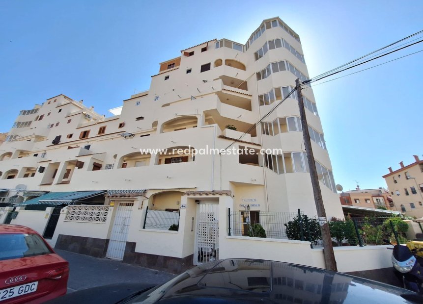 Videresalg - Leilighet -
Torrevieja - Nueva Torrevieja - Aguas Nuevas