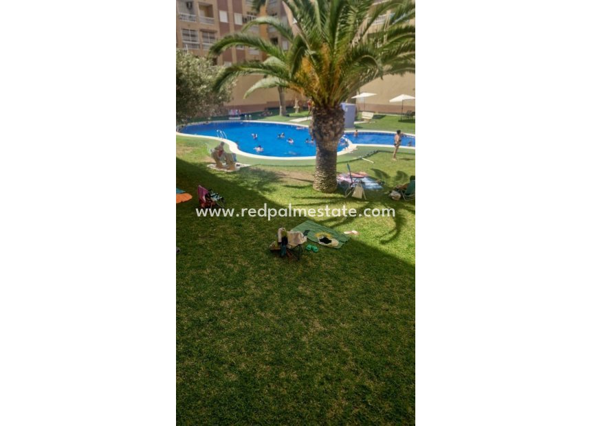 Videresalg - Leilighet -
Torrevieja - PARQUE DE LAS NACIONES