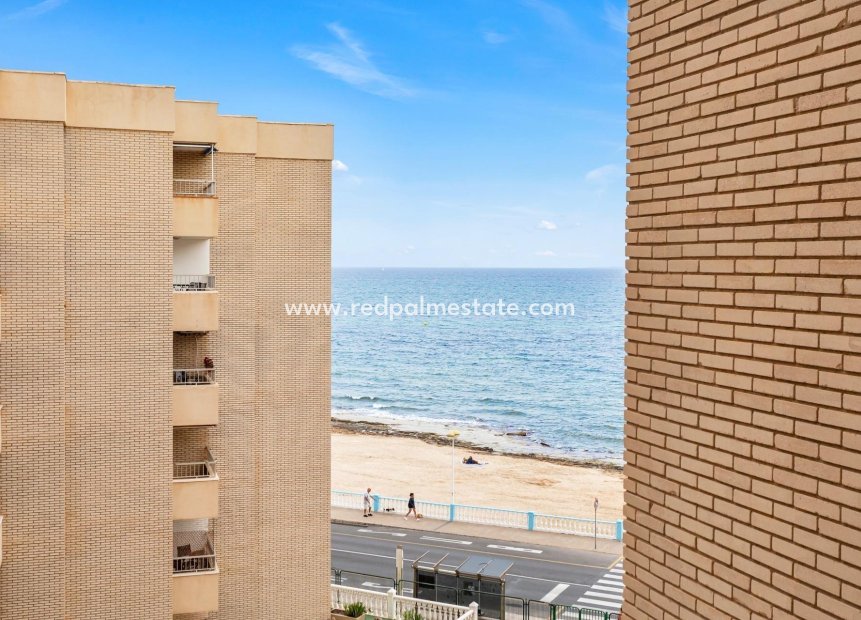 Videresalg - Leilighet -
Torrevieja - Playa de los Locos
