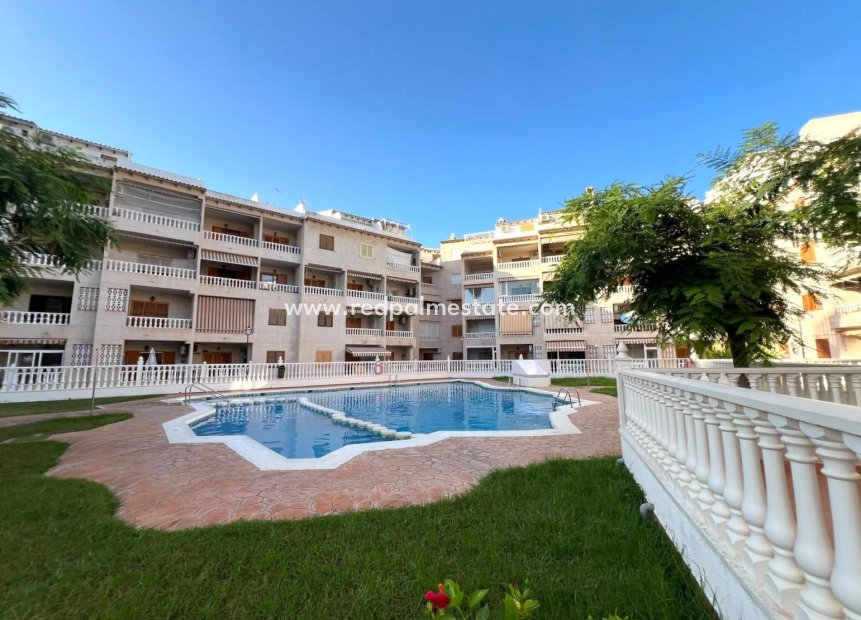 Videresalg - Leilighet -
Torrevieja - Playa de los Locos