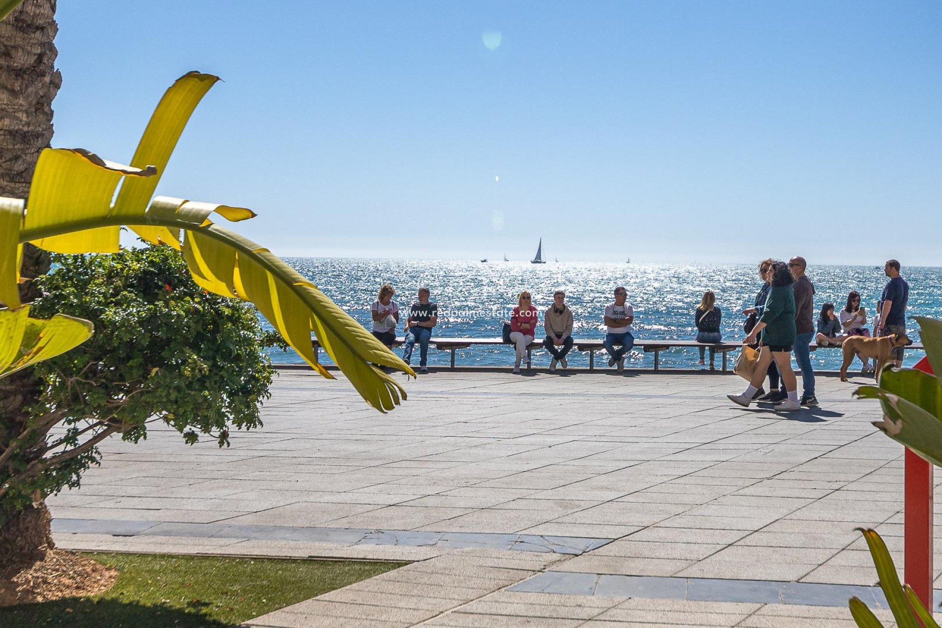 Videresalg - Leilighet -
Torrevieja - Playa de los Locos