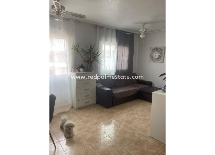 Videresalg - Leilighet -
Torrevieja - Playa de los Locos