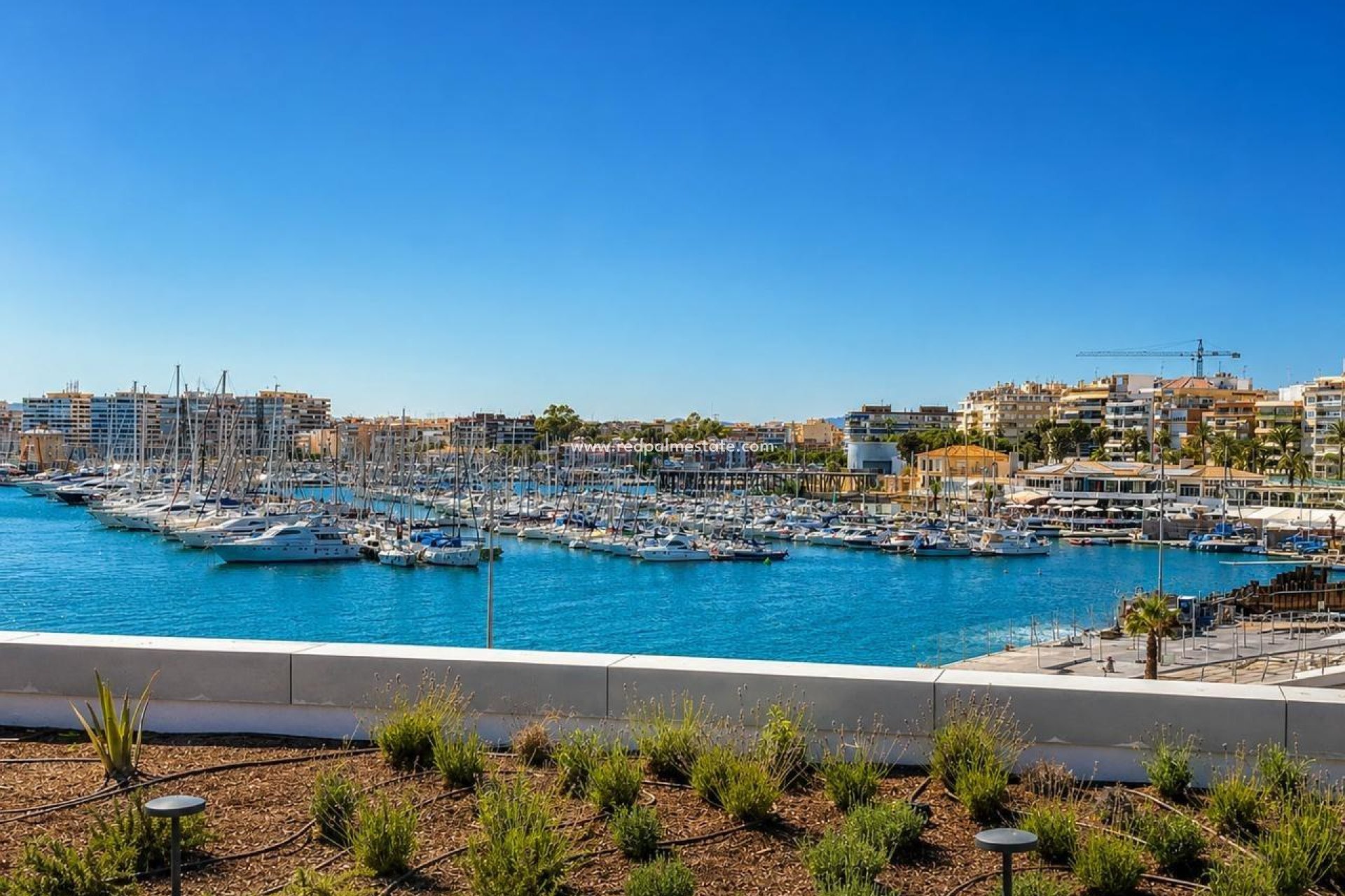 Videresalg - Leilighet -
Torrevieja - Playa del Cura