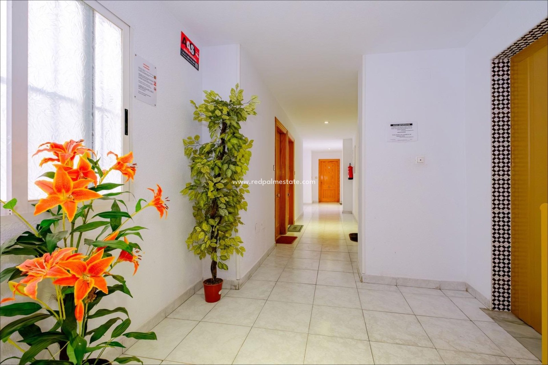 Videresalg - Leilighet -
Torrevieja - Playa del Cura