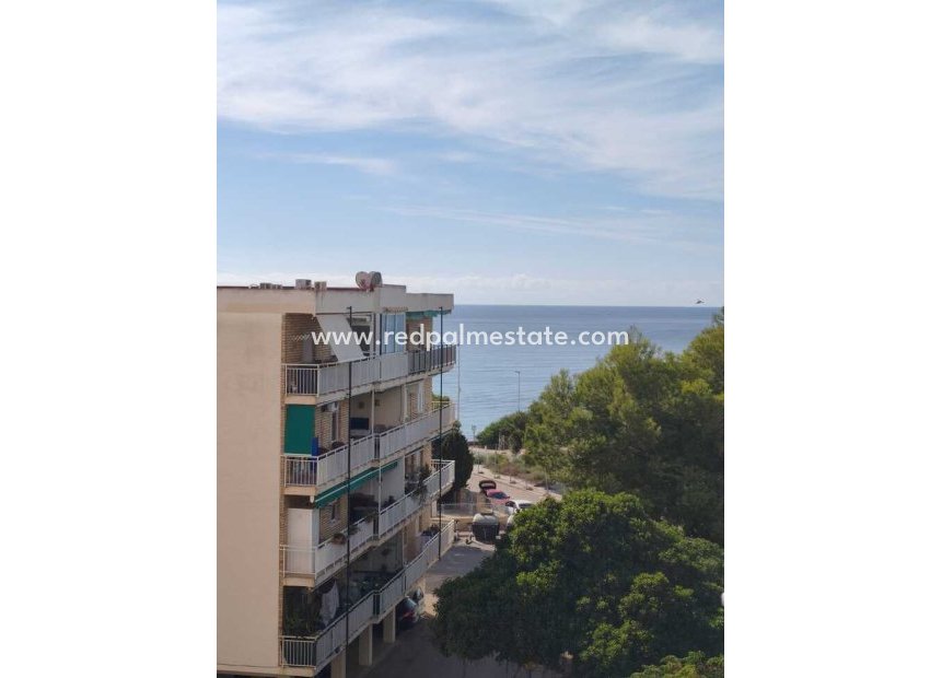 Videresalg - Leilighet -
Torrevieja - Punta prima