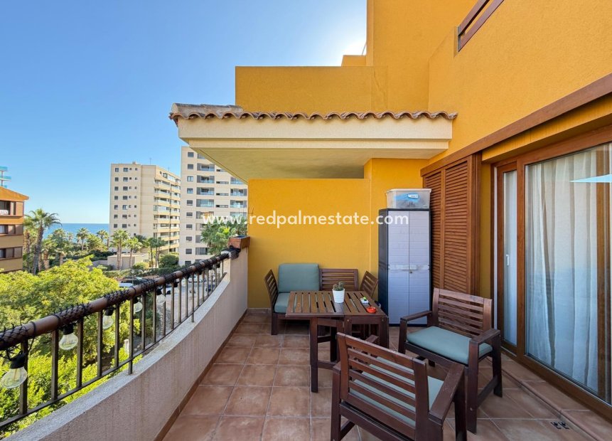 Videresalg - Leilighet -
Torrevieja - Punta prima