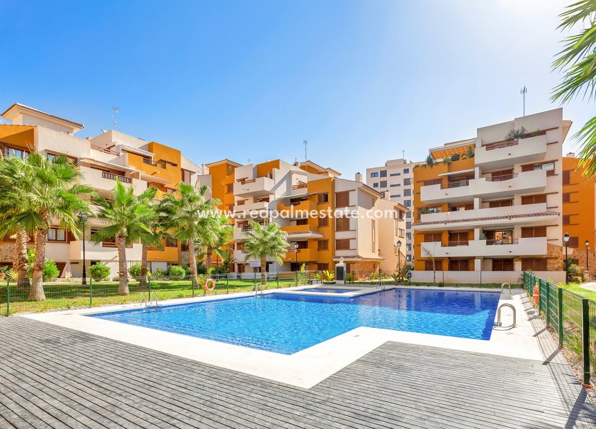 Videresalg - Leilighet -
Torrevieja - Punta Prima